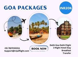 Delhi-Goa-Packages.jpg