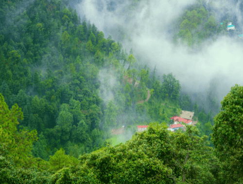 Green-Valley-shimla-trip2flight