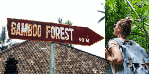 bamboo-forest-bali-image-trip2flight