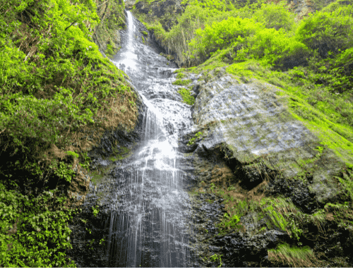 chadwick-fall-image-shimla